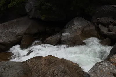 DSC_4698 (Large).JPG